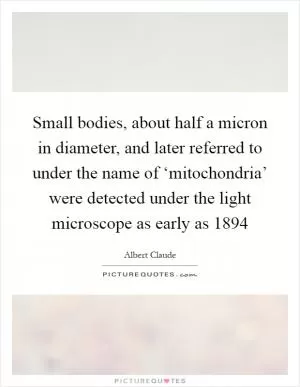 Small bodies, about half a micron in diameter, and later referred to under the name of ‘mitochondria’ were detected under the light microscope as early as 1894 Picture Quote #1