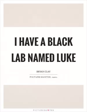 I have a black lab named Luke Picture Quote #1