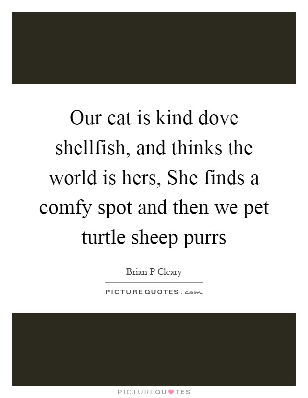Our cat is kind dove shellfish, and thinks the world is hers, She finds a comfy spot and then we pet turtle sheep purrs Picture Quote #1