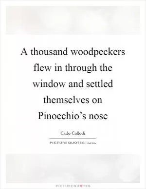 A thousand woodpeckers flew in through the window and settled themselves on Pinocchio’s nose Picture Quote #1