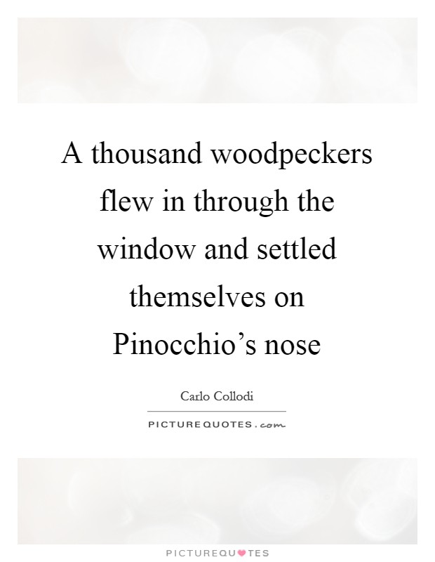 A thousand woodpeckers flew in through the window and settled themselves on Pinocchio's nose Picture Quote #1