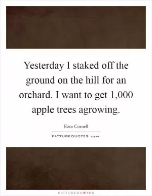 Yesterday I staked off the ground on the hill for an orchard. I want to get 1,000 apple trees agrowing Picture Quote #1
