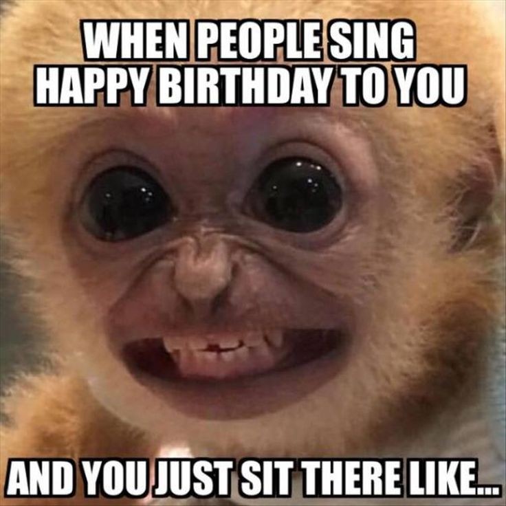 When people sing happy birthday to you and you just sit there like Picture Quote #1