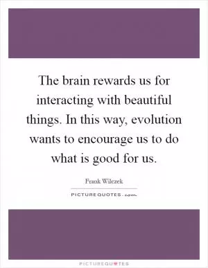 The brain rewards us for interacting with beautiful things. In this way, evolution wants to encourage us to do what is good for us Picture Quote #1