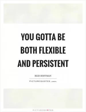 You gotta be both flexible and persistent Picture Quote #1