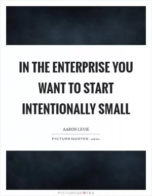 In the enterprise you want to start intentionally small Picture Quote #1
