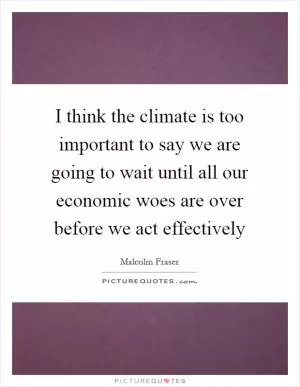 I think the climate is too important to say we are going to wait until all our economic woes are over before we act effectively Picture Quote #1