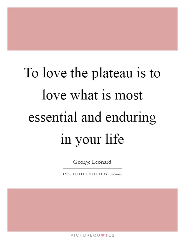 To love the plateau is to love what is most essential and enduring in your life Picture Quote #1