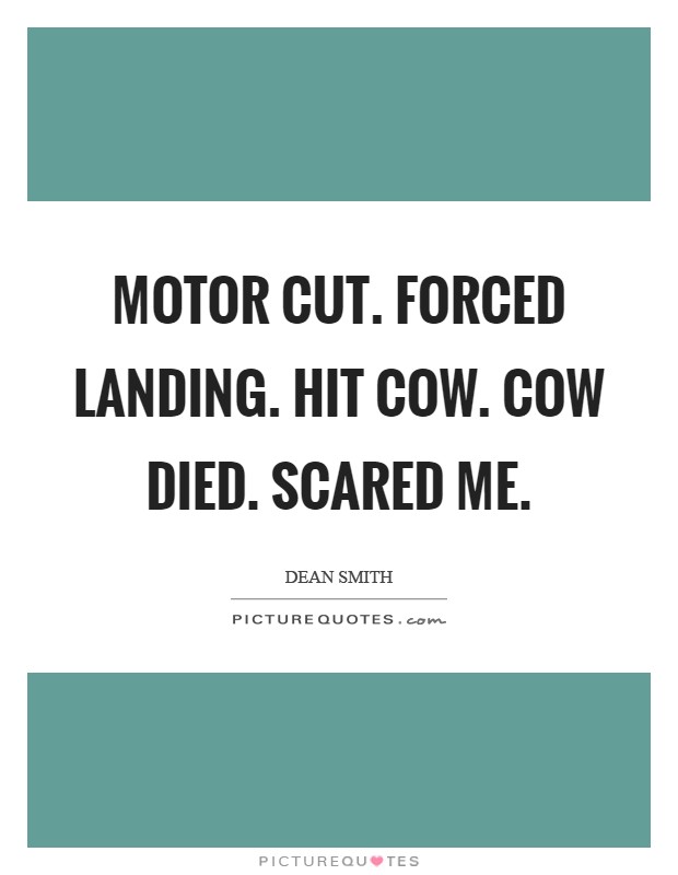 Motor cut. Forced landing. Hit cow. Cow died. Scared me Picture Quote #1