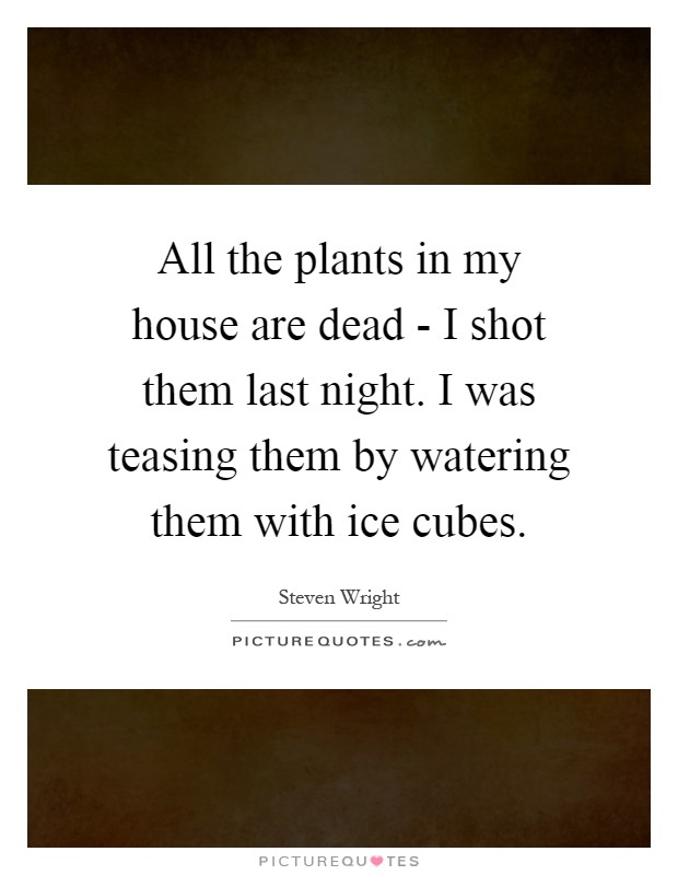 All the plants in my house are dead - I shot them last night. I was teasing them by watering them with ice cubes Picture Quote #1