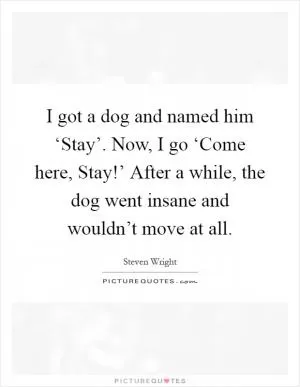 I got a dog and named him ‘Stay’. Now, I go ‘Come here, Stay!’ After a while, the dog went insane and wouldn’t move at all Picture Quote #1