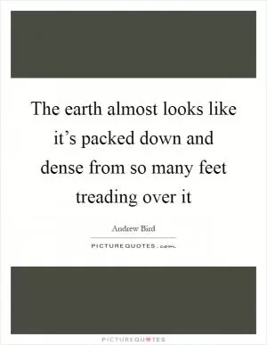 The earth almost looks like it’s packed down and dense from so many feet treading over it Picture Quote #1