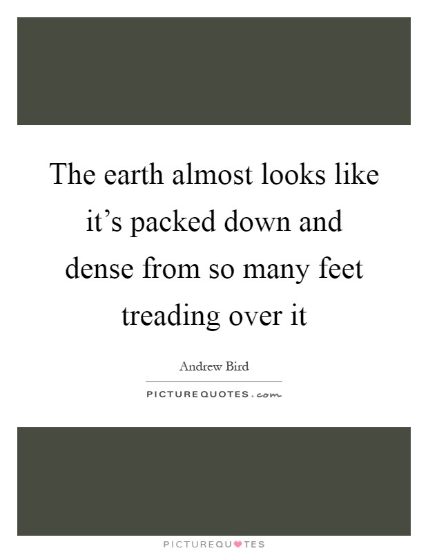 The earth almost looks like it's packed down and dense from so many feet treading over it Picture Quote #1