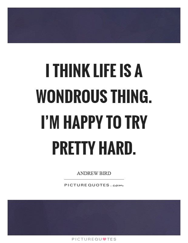 I think life is a wondrous thing. I'm happy to try pretty hard Picture Quote #1