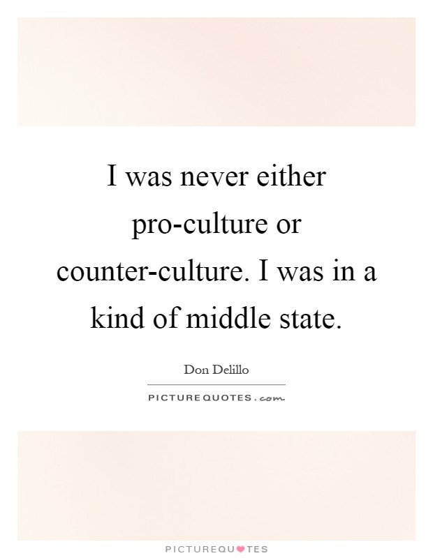 I was never either pro-culture or counter-culture. I was in a kind of middle state Picture Quote #1