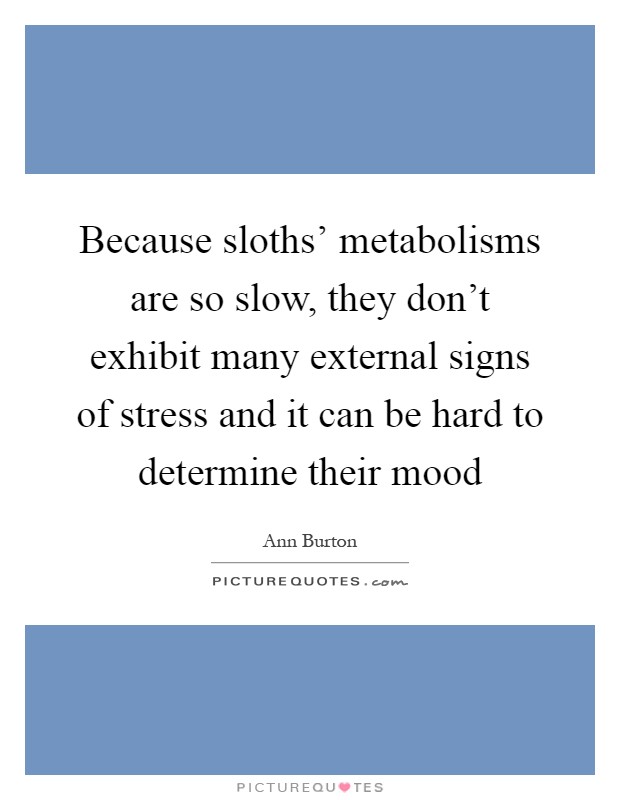 Because sloths' metabolisms are so slow, they don't exhibit many external signs of stress and it can be hard to determine their mood Picture Quote #1
