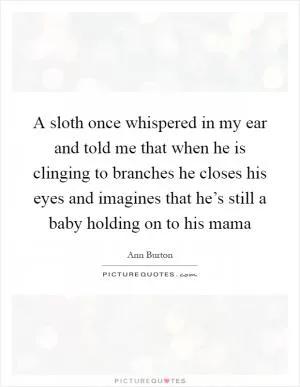 A sloth once whispered in my ear and told me that when he is clinging to branches he closes his eyes and imagines that he’s still a baby holding on to his mama Picture Quote #1