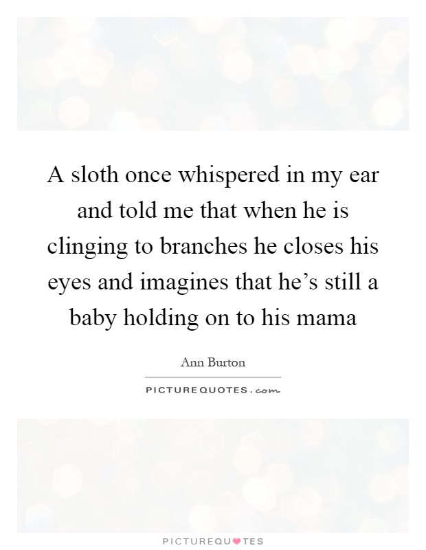 A sloth once whispered in my ear and told me that when he is clinging to branches he closes his eyes and imagines that he's still a baby holding on to his mama Picture Quote #1