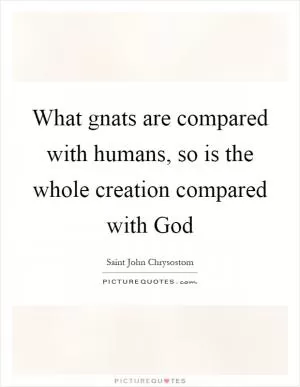 What gnats are compared with humans, so is the whole creation compared with God Picture Quote #1