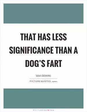 That has less significance than a dog’s fart Picture Quote #1