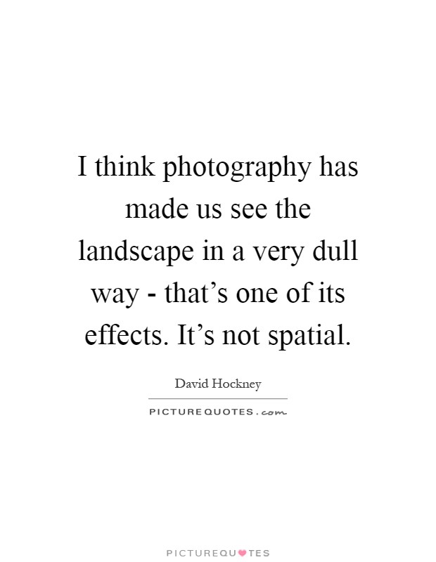 I think photography has made us see the landscape in a very dull way - that's one of its effects. It's not spatial Picture Quote #1