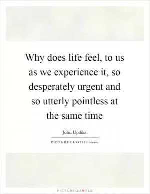 Why does life feel, to us as we experience it, so desperately urgent and so utterly pointless at the same time Picture Quote #1