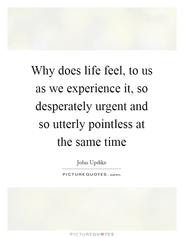 Why does life feel, to us as we experience it, so desperately urgent and so utterly pointless at the same time Picture Quote #1