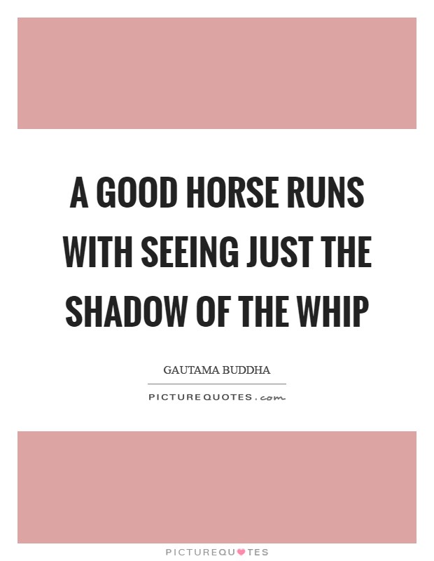A good horse runs with seeing just the shadow of the whip Picture Quote #1