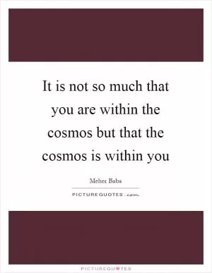 It is not so much that you are within the cosmos but that the cosmos is within you Picture Quote #1