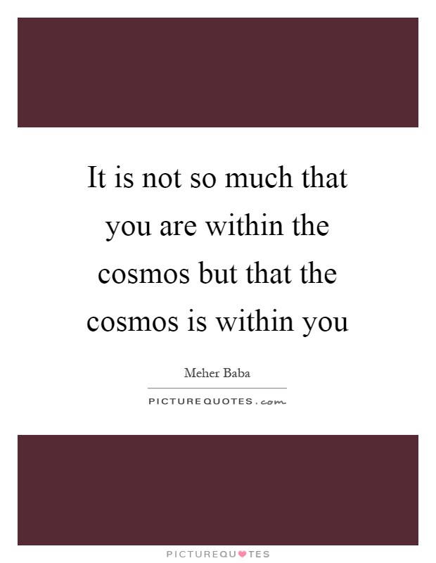 It is not so much that you are within the cosmos but that the cosmos is within you Picture Quote #1