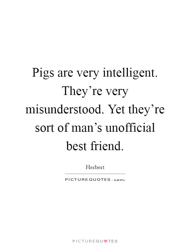 Pigs are very intelligent. They're very misunderstood. Yet they're sort of man's unofficial best friend Picture Quote #1