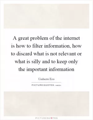 A great problem of the internet is how to filter information, how to discard what is not relevant or what is silly and to keep only the important information Picture Quote #1