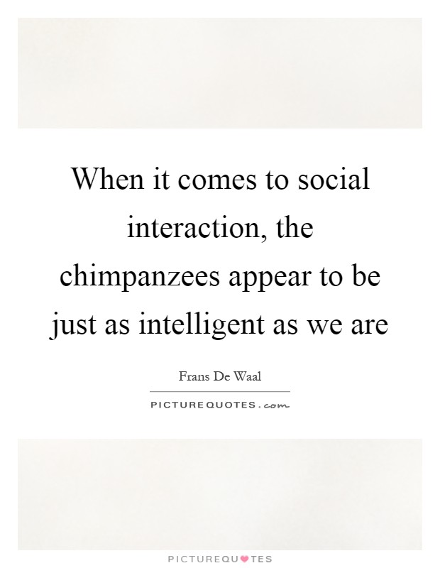 When it comes to social interaction, the chimpanzees appear to be just as intelligent as we are Picture Quote #1
