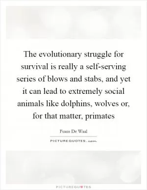The evolutionary struggle for survival is really a self-serving series of blows and stabs, and yet it can lead to extremely social animals like dolphins, wolves or, for that matter, primates Picture Quote #1