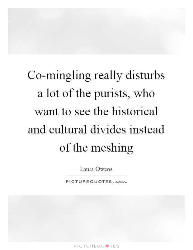 Co-mingling really disturbs a lot of the purists, who want to see the historical and cultural divides instead of the meshing Picture Quote #1