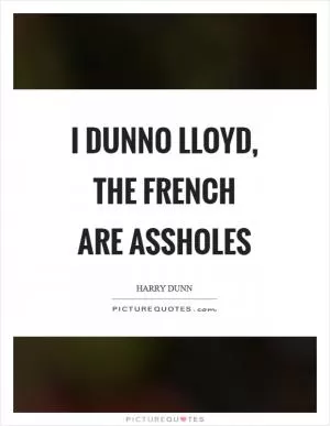 I dunno Lloyd, the French are assholes Picture Quote #1