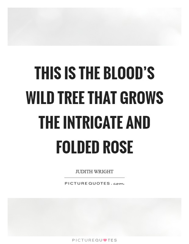 This is the blood's wild tree that grows the intricate and folded rose Picture Quote #1