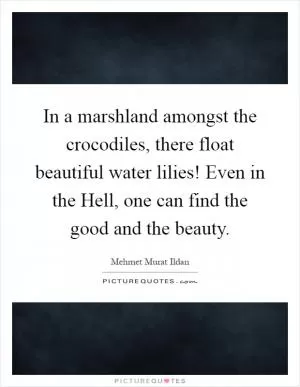 In a marshland amongst the crocodiles, there float beautiful water lilies! Even in the Hell, one can find the good and the beauty Picture Quote #1