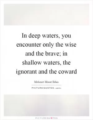 In deep waters, you encounter only the wise and the brave; in shallow waters, the ignorant and the coward Picture Quote #1