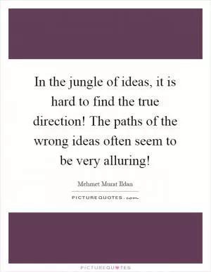 In the jungle of ideas, it is hard to find the true direction! The paths of the wrong ideas often seem to be very alluring! Picture Quote #1