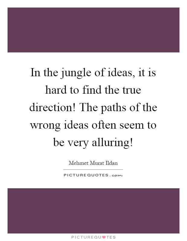 In the jungle of ideas, it is hard to find the true direction! The paths of the wrong ideas often seem to be very alluring! Picture Quote #1
