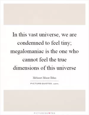 In this vast universe, we are condemned to feel tiny; megalomaniac is the one who cannot feel the true dimensions of this universe Picture Quote #1