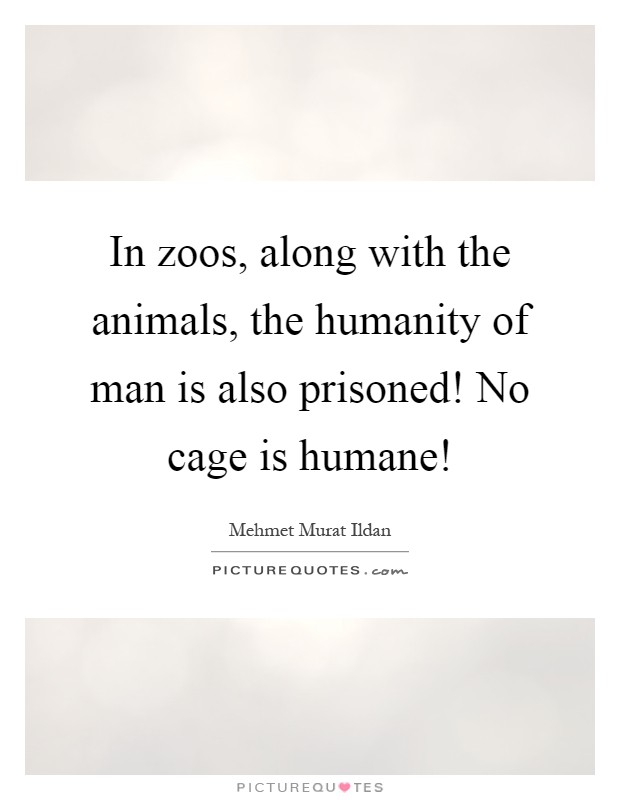 In zoos, along with the animals, the humanity of man is also prisoned! No cage is humane! Picture Quote #1