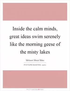 Inside the calm minds, great ideas swim serenely like the morning geese of the misty lakes Picture Quote #1