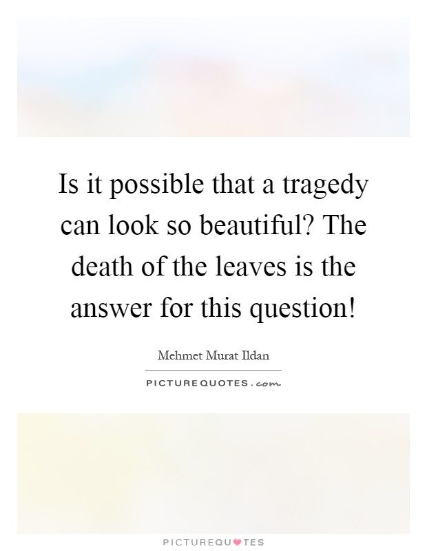 Is it possible that a tragedy can look so beautiful? The death of the leaves is the answer for this question! Picture Quote #1