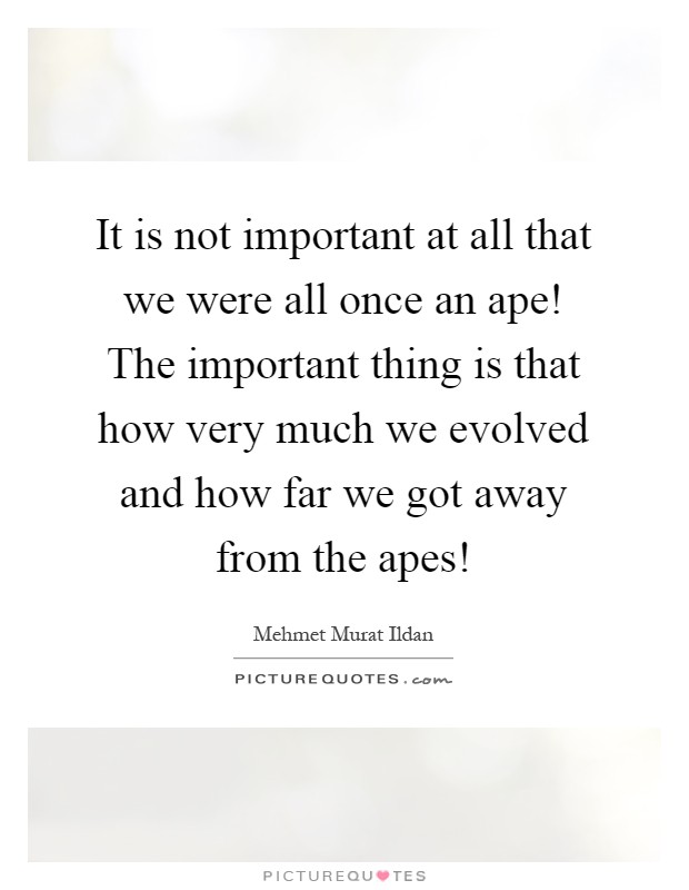 It is not important at all that we were all once an ape! The important thing is that how very much we evolved and how far we got away from the apes! Picture Quote #1