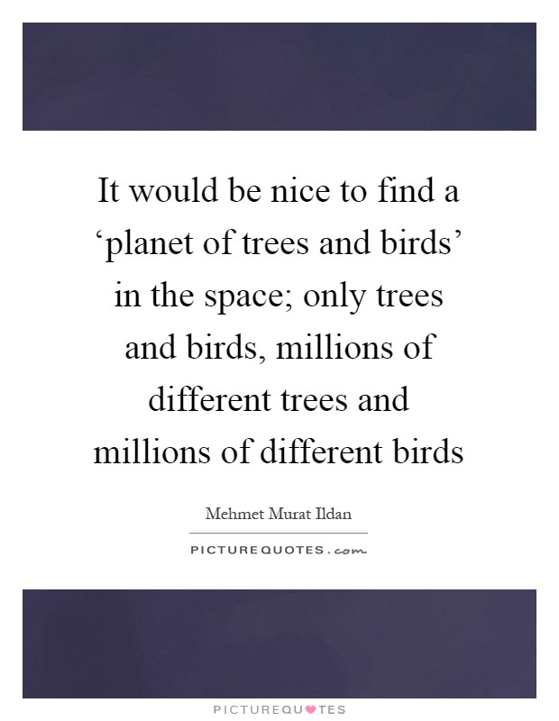 It would be nice to find a ‘planet of trees and birds' in the space; only trees and birds, millions of different trees and millions of different birds Picture Quote #1