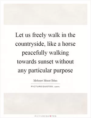 Let us freely walk in the countryside, like a horse peacefully walking towards sunset without any particular purpose Picture Quote #1