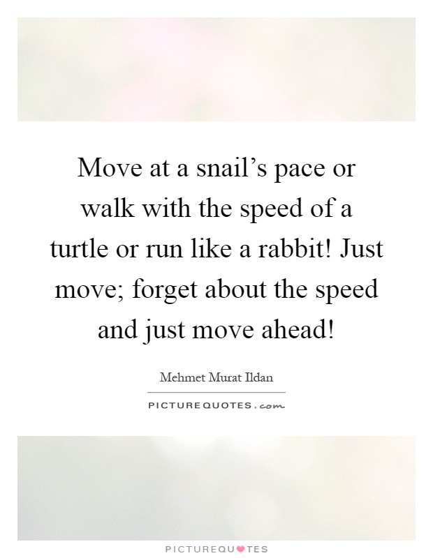 Move at a snail's pace or walk with the speed of a turtle or run like a rabbit! Just move; forget about the speed and just move ahead! Picture Quote #1