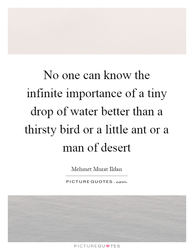 No one can know the infinite importance of a tiny drop of water better than a thirsty bird or a little ant or a man of desert Picture Quote #1
